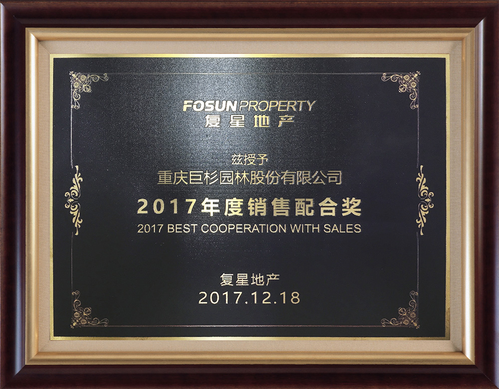 2017年度销售配合奖