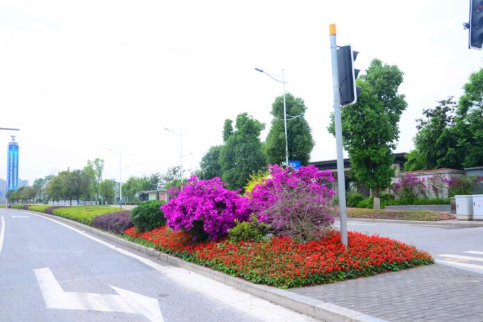 御复路二期(机东北一寨子路段)扩容改造工程节点景观提升项目